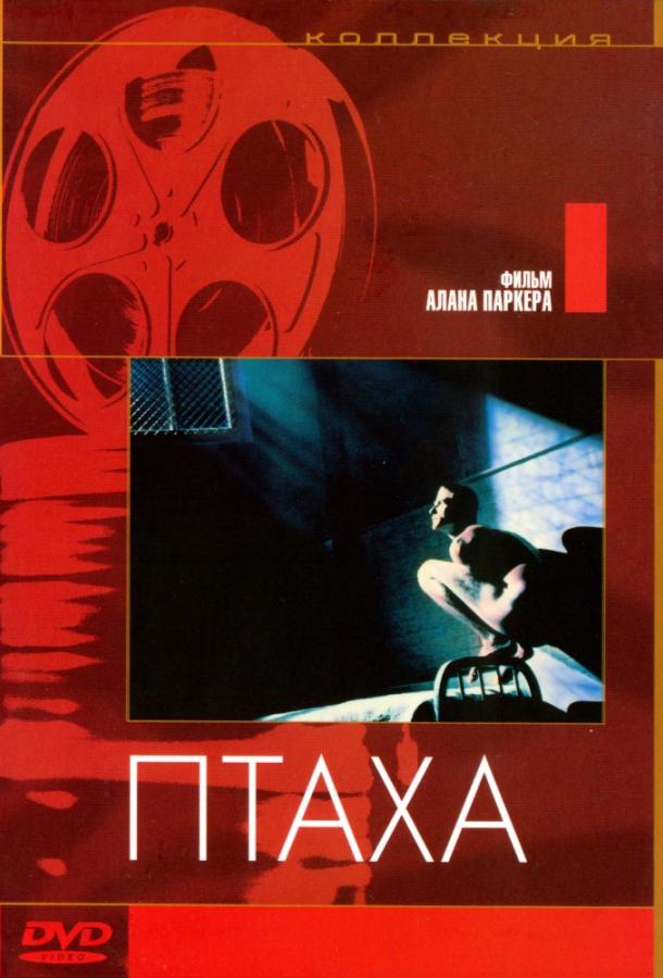 Фильм Птаха (1984) смотреть онлайн в HD качестве